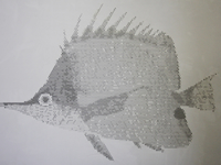 �p���`���O���^������M�������[