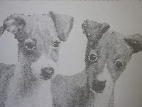 �p���`���O���^������M�������[