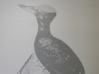 �p���`���O���^������M�������[